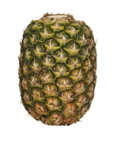 Ananas zonder kroon Albert Heijn
