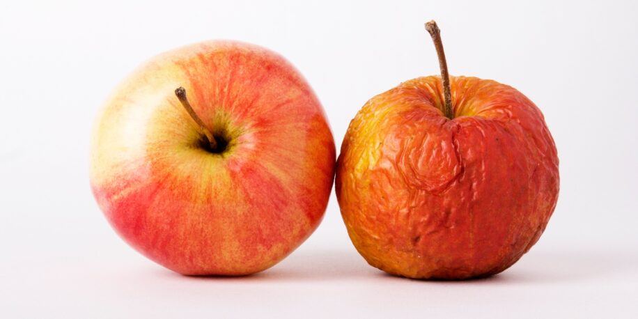 Van God Wie collegegeld Dit is de beste manier om appels te bewaren | FavorFlav