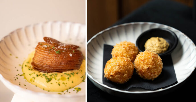 Bisto Féline bitterballen en aardappel