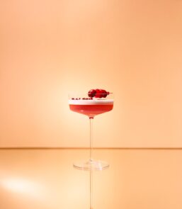 Cranberry whisky sour cocktail