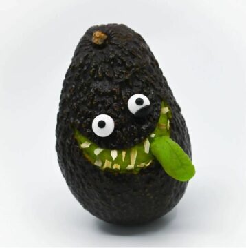 Funny avocado