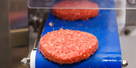 Hamburger-Favorflav