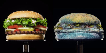 HamburgerSchimmel-Favorflav