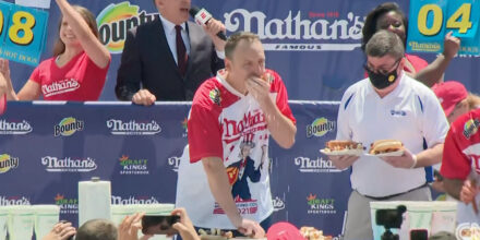 Hotdogs2-Favorflav