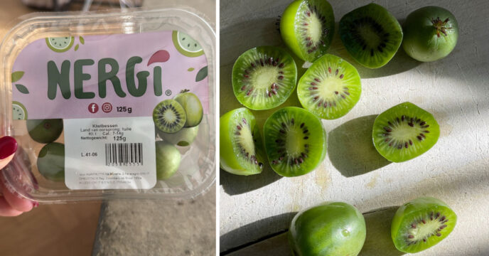 Kiwibessen Lidl