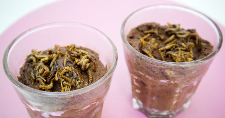 Recept: chocolademousse met gekarameliseerde insecten