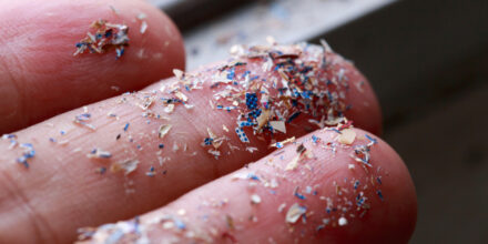 Microplastics gevonden