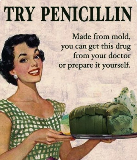 Peniciline - pinterest