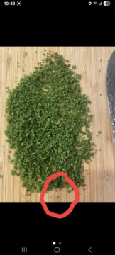 Chivegate: de ontmaskering!