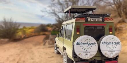 Safari auto in Tanzania