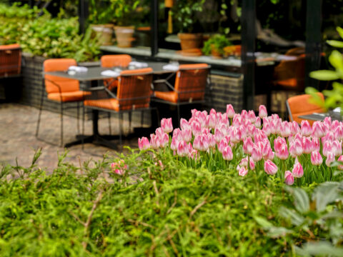 Sofitel Legend The Grand Amsterdam_Garden Terrace