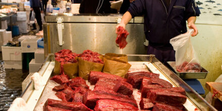 Walvis-Favorflav