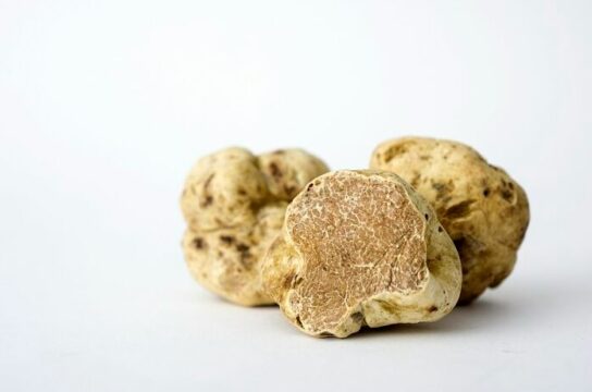 Witte truffels