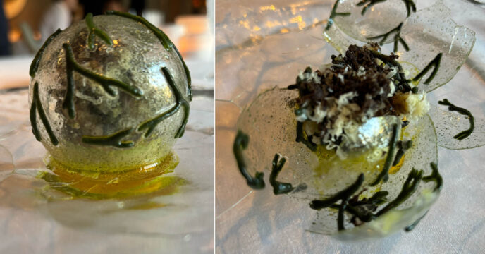 Zwarte truffel, codium, wortel, comte bij Spectrum