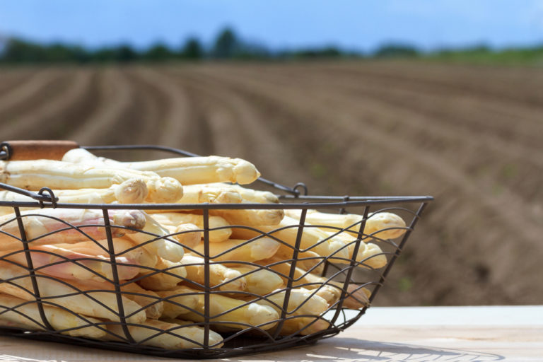 Zijn asperges dit jaar smakeloos?