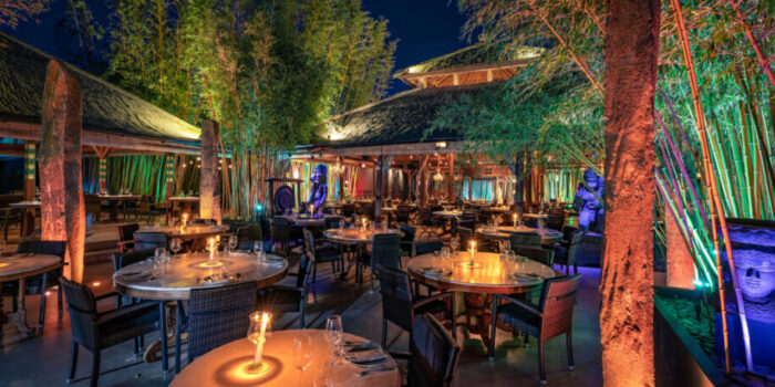 bambuddha Ibiza