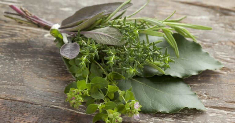 Recept: zo maak je een bouquet garni