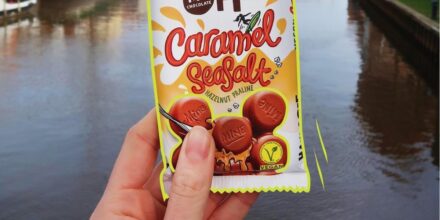 hands off vegan (1)