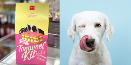 hema tompouce hond