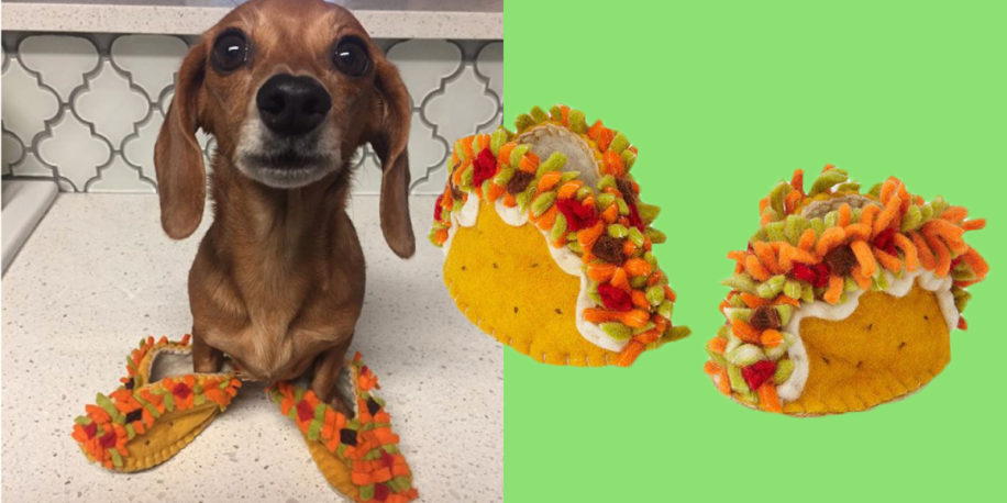 Detecteren Geweldige eik Artefact Je kunt nu taco-sloffen kopen voor je hond en ze zijn hilarisch | FavorFlav