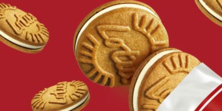 lotus speculoos