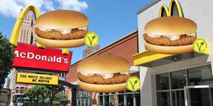 mckroket
