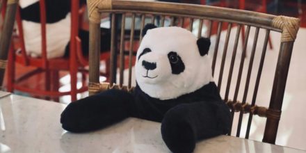 panda