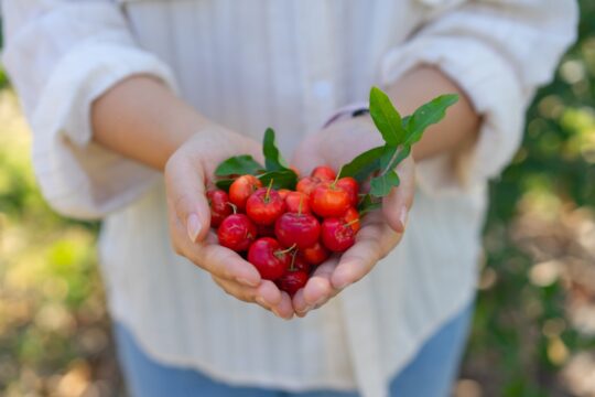 Acerola