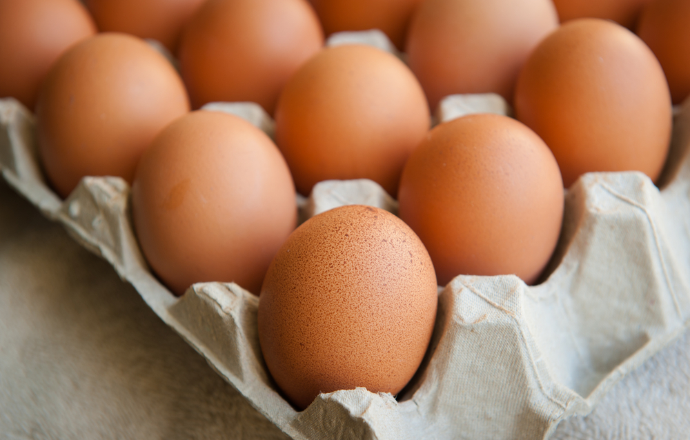 gordijn Glimp Citaat Waarom je witte eieren zou moeten eten | FavorFlav