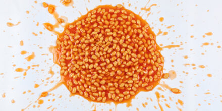 witte bonen in tomatensaus